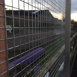 Wire Mesh Panel (6FT X 4FT |184cm x 126cm - 16G Wire)