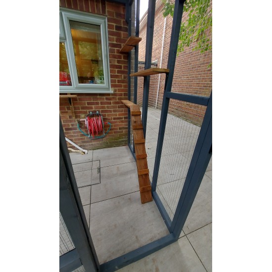 Big Paws Catservatory – 18ft x 6ft x 8ft  Painted Edition