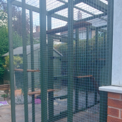 The Garden Retreat – 12ft x 6ft x 7.5ft Lean-To Catio 🌿🐈