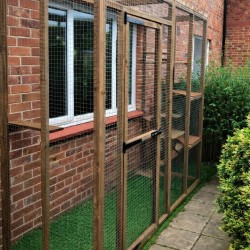 Purr-fect Playhouse! 6ft x 3ft x 7ft5" Lean-To Catio — Explore and Roam Safely