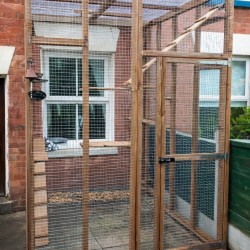 Paws Cabin Catio 6ft x 8ft x 8ft Tall