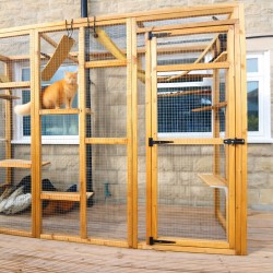 The Slimline Sanctuary – 8ft x 3ft x 7.5ft Lean-To Catio