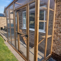 The Purr-side Pavilion – 8ft x 4ft 3-Sided Lean-To Catio