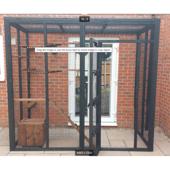 The Purr-side Pavilion – 8ft x 4ft 3-Sided Lean-To Catio