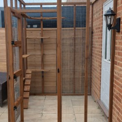 The Garden Den – Three-Sided Catio Retreat (6ft x 6ft x 8ft)