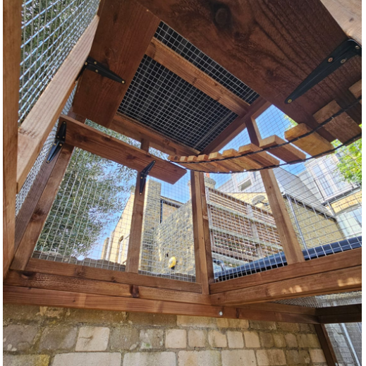 3 Sided Catio with Lookout Tower