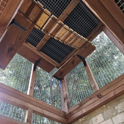 3 Sided Catio with Lookout Tower