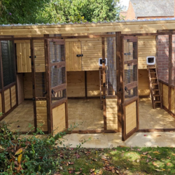 3 x Cat sleeping box enclosure 