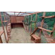 Cat House / Play Pen With Sleeping Box 12ft x 6ft