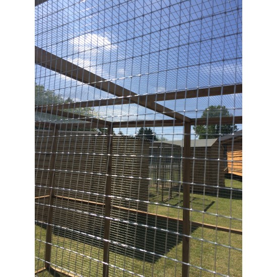 19G Wire Mesh Animal Run - 6ft x 9ft 🐣🦆 Mesh Roof.