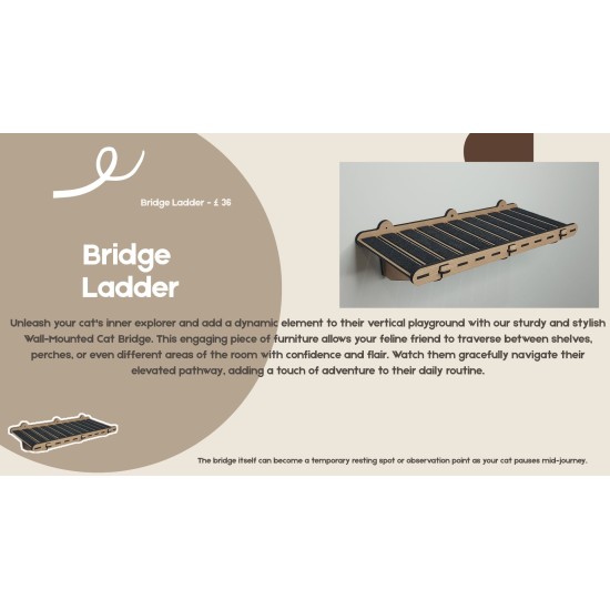 Wall mounted bridge ladder for cats