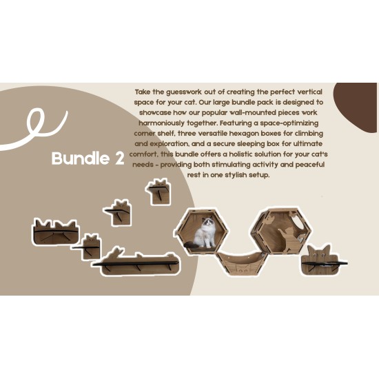 Wall Mounted Indoor Cat Furniture Bundle 2