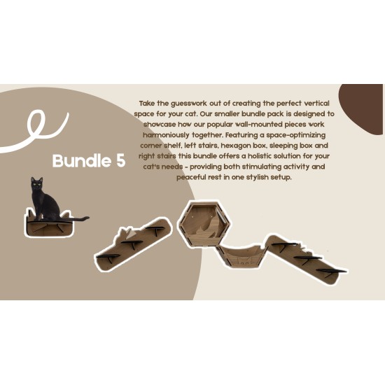 Wall Mounted Indoor Cat Furniture Bundle 5