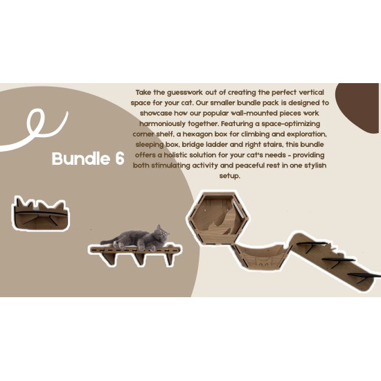Wall Mounted Indoor Cat Furniture Bundle 6