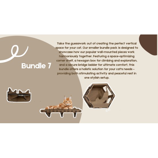 Wall Mounted Indoor Cat Furniture Bundle 7