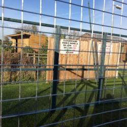 Chicken run 8ft x 12ft Chicken Fox Proof Pen Painted Blue