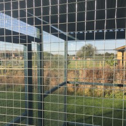 Blue Painted 12ft x 8ft Chicken/Cat Run – Waterproof Roof |16G Fox-Proof Mesh