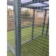 Dog Run 10ft x 8ft 16G Animal Run Waterproof Roof