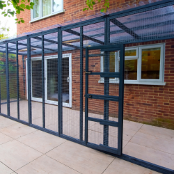 Big Paws Catservatory – 18ft x 6ft x 8ft  Painted Edition