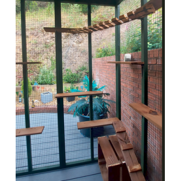 Paws Cabin Catio 6ft x 8ft x 8ft Tall