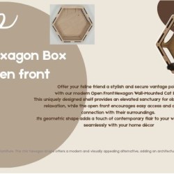 Wall Mounted Hexagon Box Open Front for cats