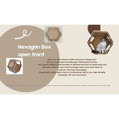 Wall Mounted Hexagon Box Open Front for cats