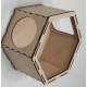 Wall Mounted Hexagon Box Open Front for cats