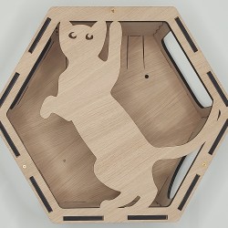 Wall Mounted Hexagon Box With Filler for cats