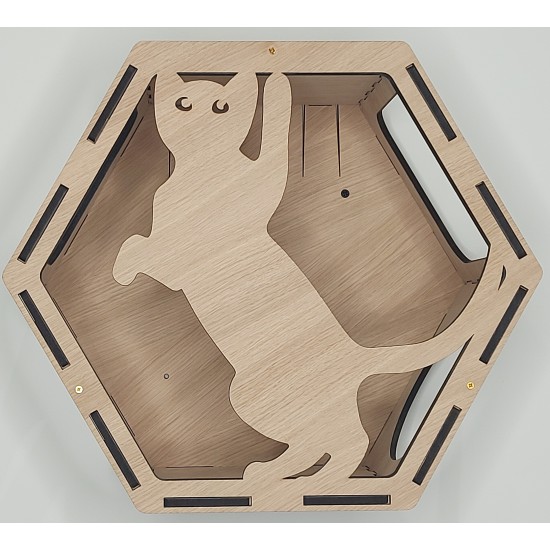 Wall Mounted Hexagon Box With Filler for cats