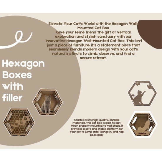 Wall Mounted Hexagon Box With Filler for cats