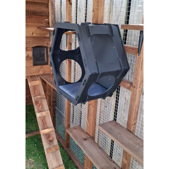 Large Breed shelf pack with Hex Box