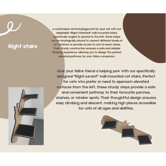 Wall Mounted Right Stairs for cats