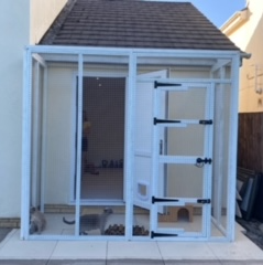 White Catio's