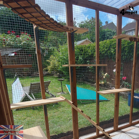 Maine Coon Or Large Breed Shelves Packs.