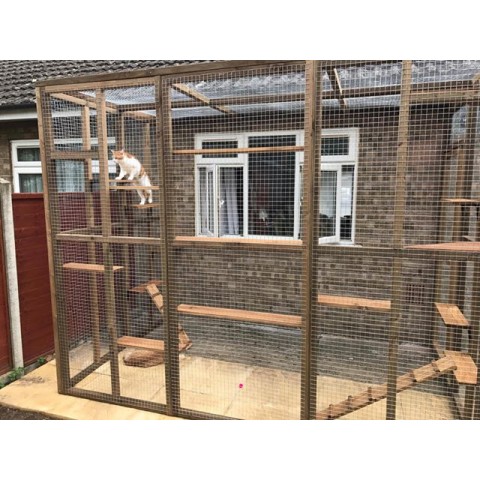 Climber’s Courtyard – 8ft x 6ft x 7.5ft Catio Enclosure