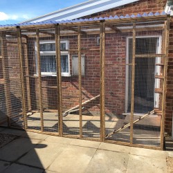 The Garden Retreat – 12ft x 6ft x 7.5ft Lean-To Catio 🌿🐈