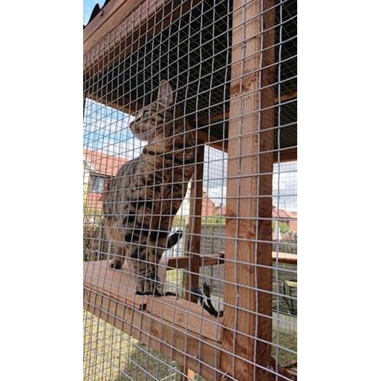 The Catwalk Vista – 12ft x 4ft x 8ft Lean-To Catio