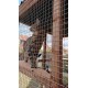 The Catwalk Vista – 12ft x 4ft x 8ft Lean-To Catio