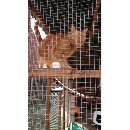 The Catwalk Vista – 12ft x 4ft x 8ft Lean-To Catio