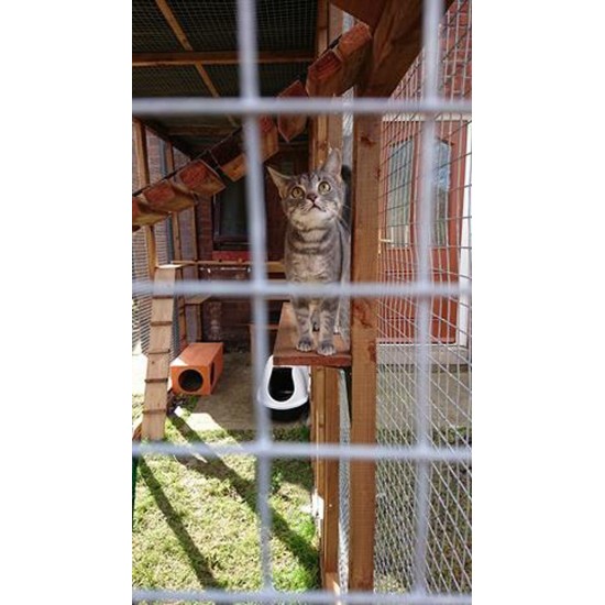 The Catwalk Vista – 12ft x 4ft x 8ft Lean-To Catio
