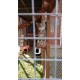 The Catwalk Vista – 12ft x 4ft x 8ft Lean-To Catio