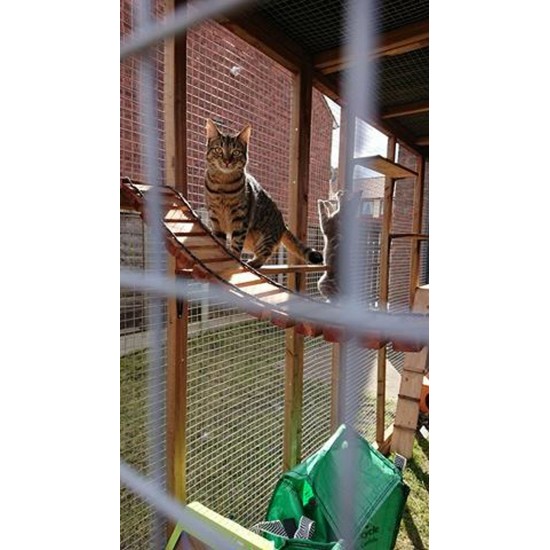 The Catwalk Vista – 12ft x 4ft x 8ft Lean-To Catio