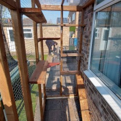 The Purr-side Pavilion – 8ft x 4ft 3-Sided Lean-To Catio