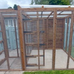6ft x 6ft  Freestanding Catio with security door 16G 1" x 1" wire mesh