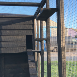 Black Cat Run With Raised Sleeping Box 6ft x 14ft