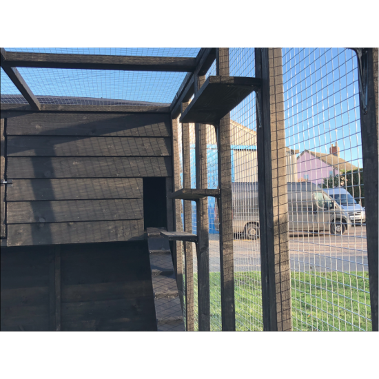 Black Cat Run With Raised Sleeping Box 6ft x 14ft