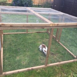 Rabbit / chicken run 3ft tall with door and mesh roof