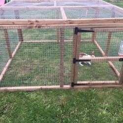 Rabbit / chicken run 3ft tall with door and mesh roof